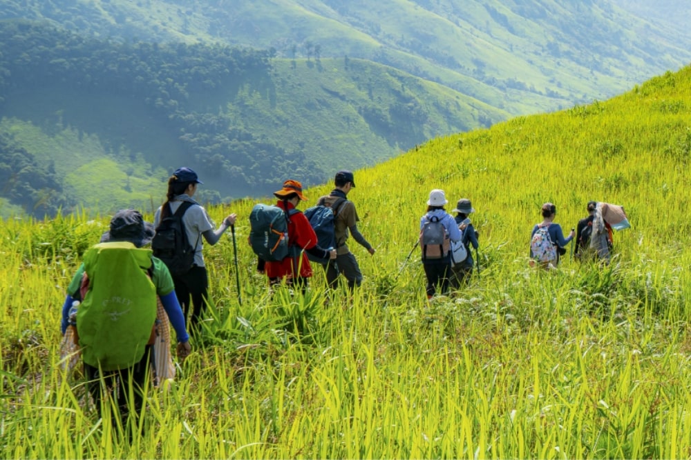 tổ chức Team building quy nhơn